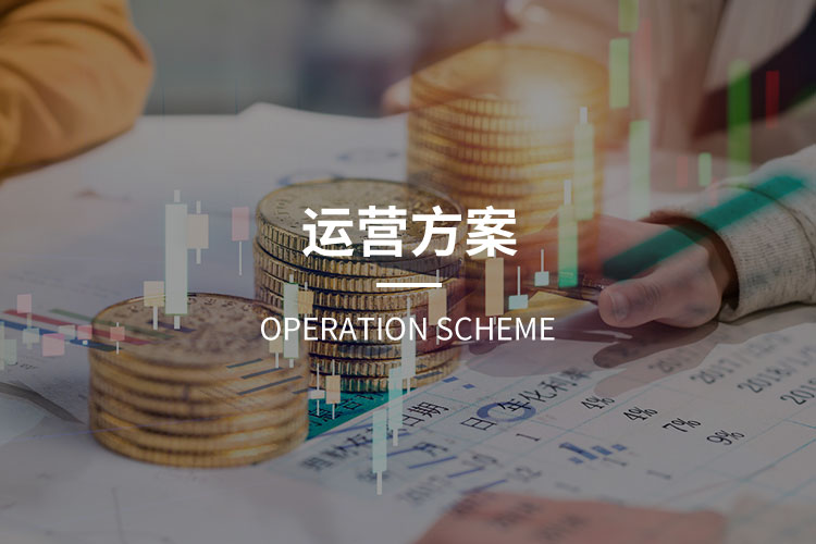 手机端运营方案