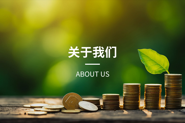 手机端关于我们